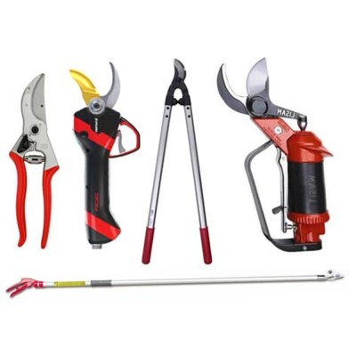 katigoria-psalidia-polymeros-larisa2