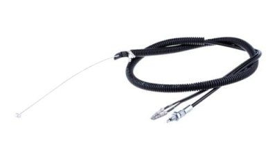 ntiza-gkaziou-thamnokoptikwn-polymeros-larisa