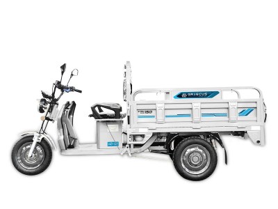 trykiklo-ilektriko-E-TRIA-CARGO150