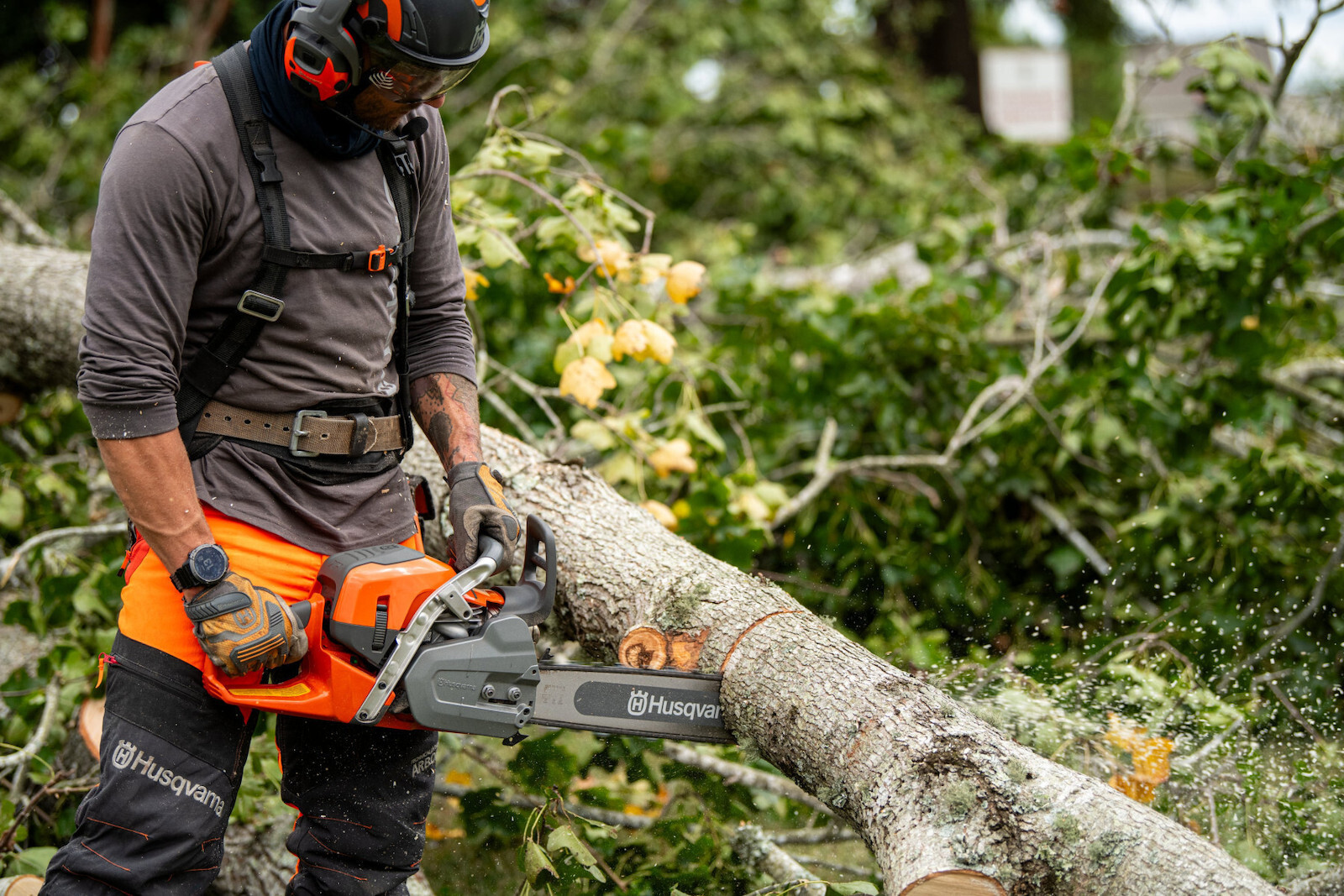 Husqvarna | Αλυσοπρίονο 564XP με λάμα και αλυσίδα 20