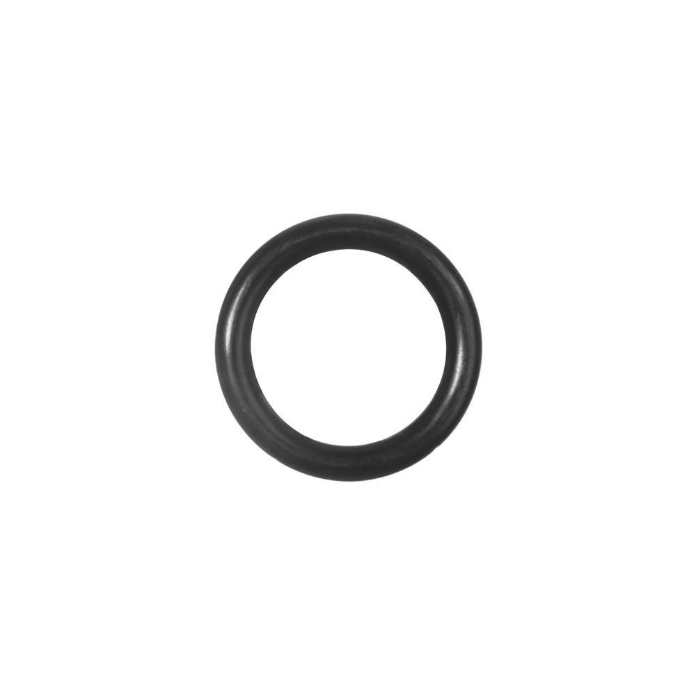 Paterlini | Λαστιχάκι OR 2018 Viton 