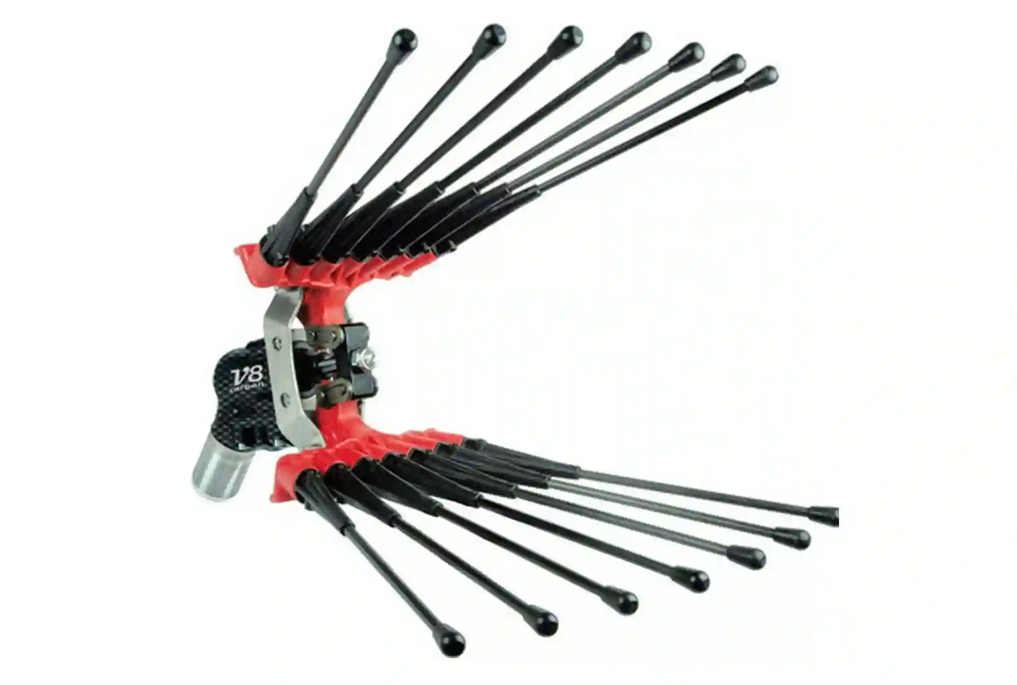 V8 Carbon | Lisam | Ελαιοραβδιστικό πνευματικό Ιταλίας 