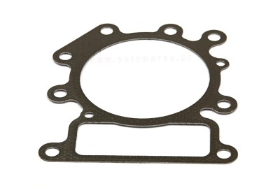 flantza-karter-briggsandstratton-794114-polymeros-larisa