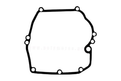 flantza-strofalothalamou-briigsandstratton-polymeros-larisa-238228