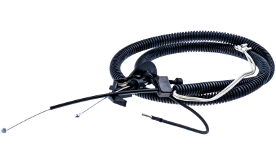 ntiza-gkaziou-thamnokoptikwn-polymeros-larisa-525419801