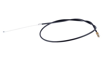 ntiza-gkaziou-thamnokoptikwn-polymeros-larisa-531007883