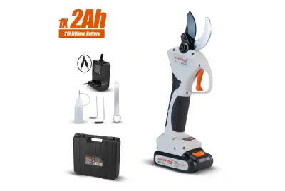 psalidi-kladematos-nakayama-polymeros-larisa-ec1400-0556559