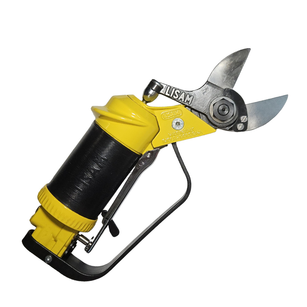 Sly DT | Lisam | Αεροψάλιδο διπλής κοπής - ΕΩΣ 12 ΑΤΟΚΕΣ ΔΟΣΕΙΣ