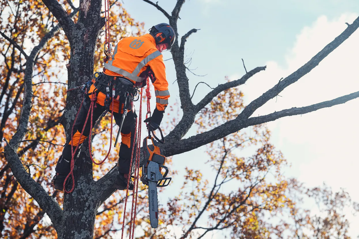 Αλυσοπρίονο Μπαταρίας Husqvarna 550iXP-15